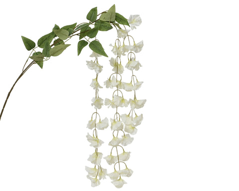 Duftwicke weiß 85cm