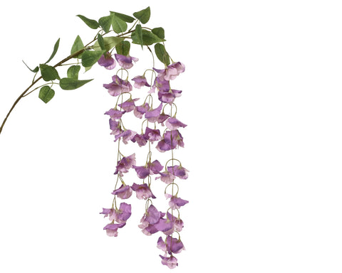 Duftwicke 85cm lilac