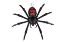 Terror-Vogelspinne animiert 70x15x42 cm