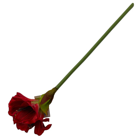 Blume Amaryllis 20x20x55 cm rot – Lifestyle Home & Garden