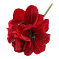 Blume Amaryllis 20x20x55 cm rot – Lifestyle Home & Garden