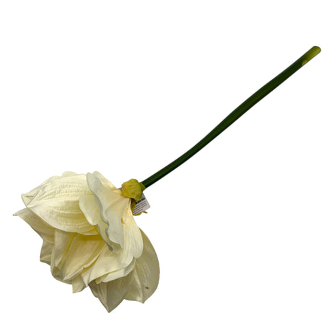 Blume Amaryllis 23x23x71 cm Creme/Weiß
