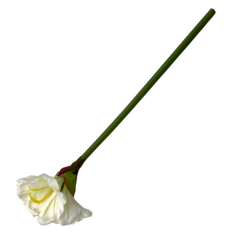 Blume Amaryllis 20x20x55 cm weiß