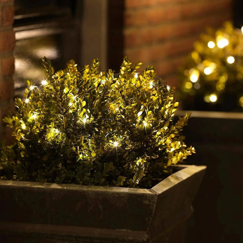 LED-Buchbaumnetz 60 LED / 35 cm