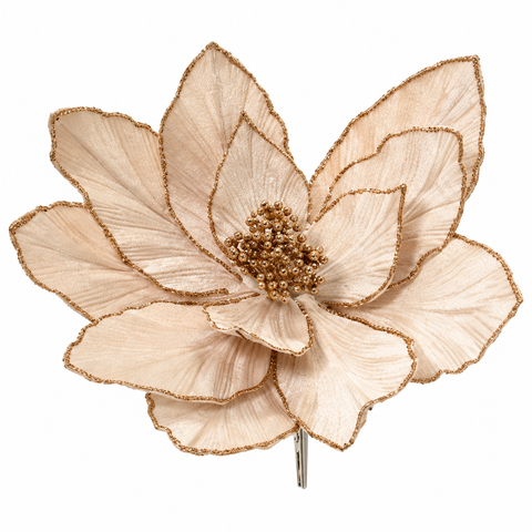 Poinsettia auf Clip Samt 28x13cm