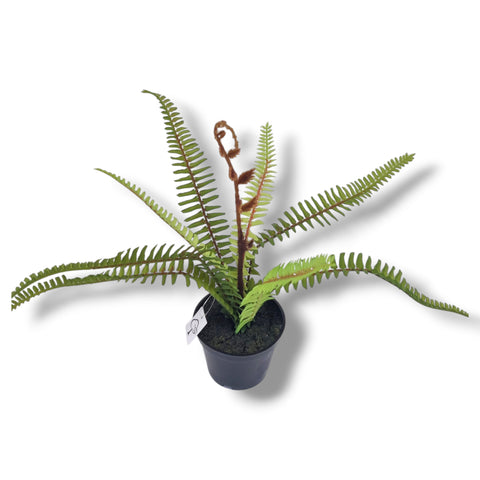 Grüner künstlicher farn mit detaillierten blättern und braunem fiddlehead im schwarzen topf farn im topf 29 cm