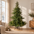 Grandis Tanne 210cm 550LED – Lifestyle Home & Garden