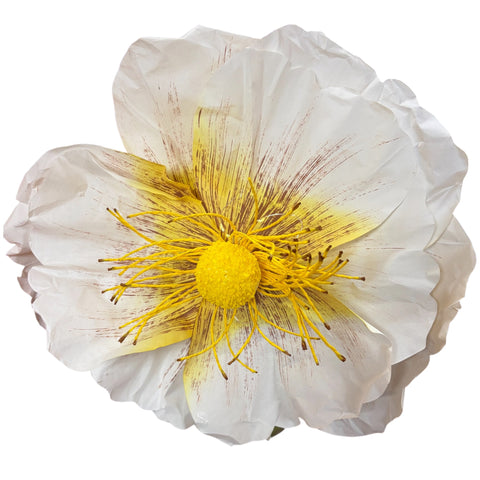 Micro LED Blume papier Dauerbetrieb