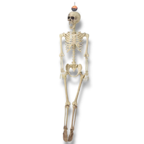 Halloween Skelett 37.5x17x165 cm Halloween Koopman