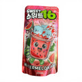 Ein leuchtend roter sweet16 erfrischungsgetränk beutel mit einer cartoon-wassermelone und eiswürfeln im 200 ml format