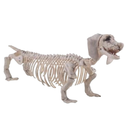 Dachshund-Skelett Halloween Funny Fashion