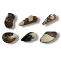 Delikate schoko-meeresfrüchte 250 g mit schokoladen-seemuscheln und -tieren in braun und weiß mit glänzender textur