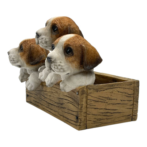 Jack Russel mit Topf