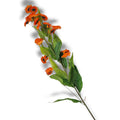 Ein künstlicher kalenderblumenstiel in orange mit grünen blättern und braunem dünnem stängel 102x30x25cm