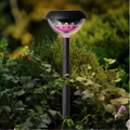 Schwarze solar-gartenlampe mit klarer glaskuppel und pink-gelbem floralem 360° muster