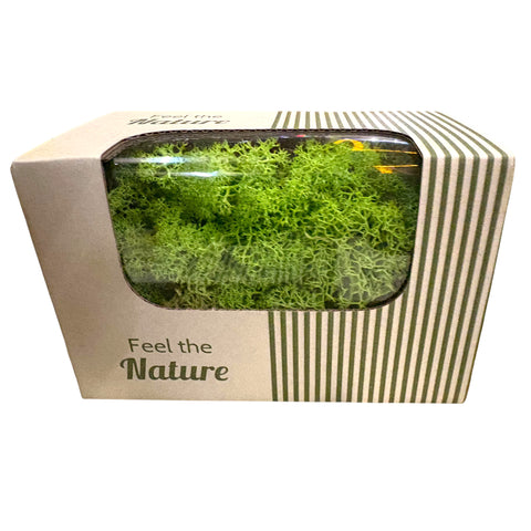 Moos-Rentier ca. 50 g Naturmaterial 14x8x10cm frühlingsgrün