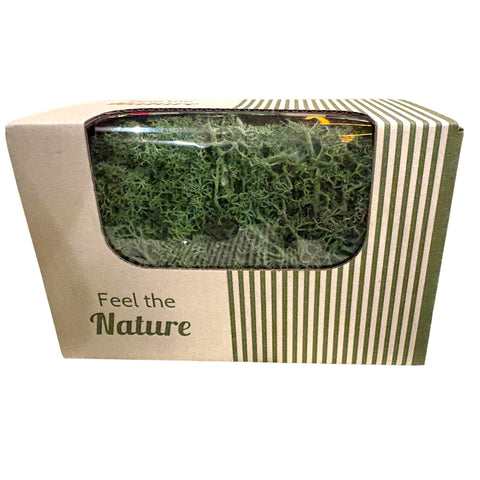 Moos-Rentier ca. 50 g Naturmaterial 14x8x10cm moosgrün