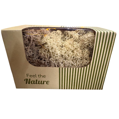 Moos-Rentier ca. 50 g Naturmaterial 14x8x10cm natur