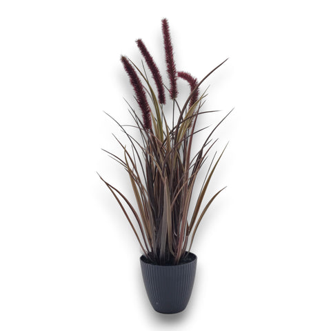 Ein künstlicher pennisetum im topf mit tiefburgunder farbenen federartigen blüten und mattschwarzem geripptem topf