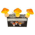 Led solar pilze 3er set orange weiße pilzförmige led solar lichterkette 8x10cm