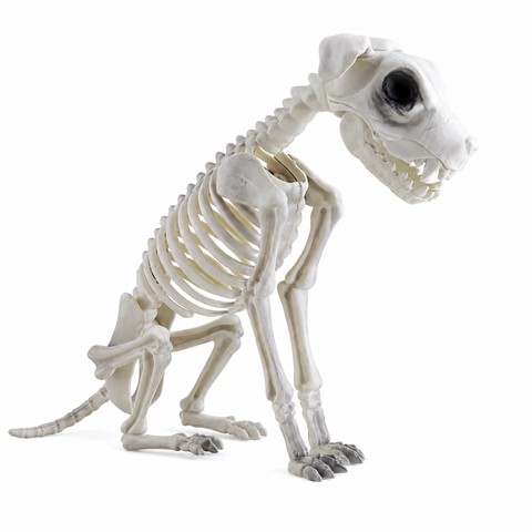 Skeletthund 43 cm