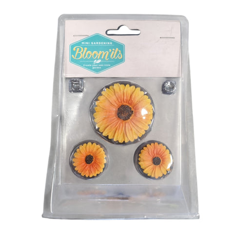 Set of three vibrant yellow-orange sunflower-shaped mini gardening planters in clear plastic packaging