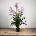 Eine üppige künstliche orchidee mit zarten lavendelrosa blüten und langen grünen blättern in schwarzem topf