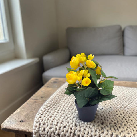 Begonienbusch ca 24cm eine künstliche begonie mit leuchtend gelben blüten und glänzenden grünen blättern im dunkelblauen keramiktopf