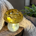 Led-pilz fungo glas ist eine bernsteinfarbene, durchscheinende pilzlampe aus glas mit weißem geriffeltem sockel und led-licht