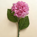 Rosa hortensie 66cm mit üppigen, geschichteten blütenblättern und glänzenden grünen blättern an schlankem stiel