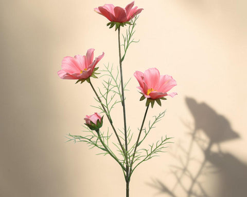 Ein zartes arrangement pinker coreopsis rosa blumen mit schlanken stielen und gelben zentren