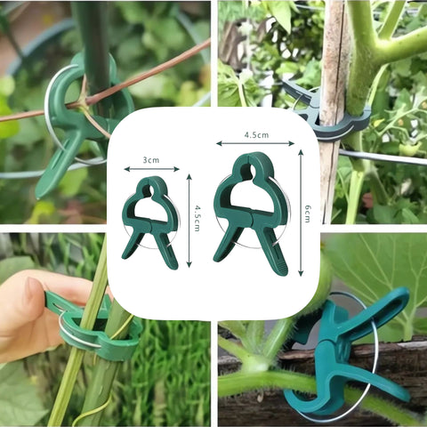 Grüne kunststoff pflanzenhalter 20er-set mit schlaufen-design zum sichern von ranken an befestigungen