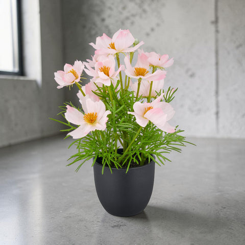Eine zarte anordnung künstlicher pinker cosmos blumen mit leuchtend gelben zitronen in einem schwarzen keramiktopf