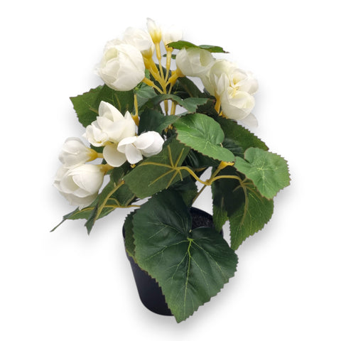 Begonienbusch creme kunstpflanze mit weißen blüten glänzenden grünen blättern und gelben stielen im schwarzen topf ca 24cm