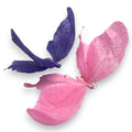 Pink und lila pappe schmetterlinge mit zarten durchscheinenden flügeln dekoclip turid schmetterling 35 cm