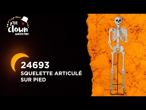 Skelett XXL 213 cm
