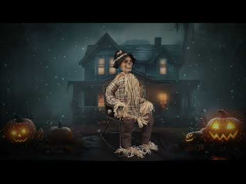 Vogelscheuche auf Schaukelstuhl animiert 120 cm Halloween Funny Fashion