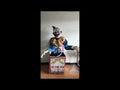 Jack in the Box Clown 180 cm Animatronic Halloween Funny Fashion