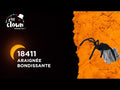 Springende Spinne Halloween Ptit Clown