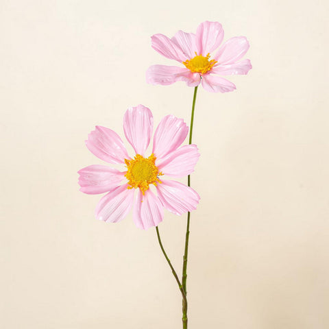 Rudbeckia metallic 55cm rosa mit zarten rosa cosmosblüten und gelben mittelstücken an schlanken grünen stielen