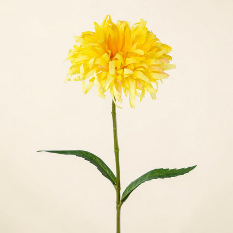 Ein lebhaft gelber künstlicher spider gerbera dahlie mit geschichteten, gewellten blütenblättern und zwei glänzenden blättern