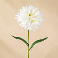 Eine zarte weiße künstliche spider gerbera mit geschichteten federartigen blütenblättern und schlankem grünem stiel
