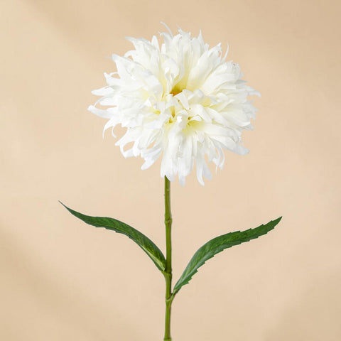 Eine zarte weiße künstliche spider gerbera mit geschichteten federartigen blütenblättern und schlankem grünem stiel