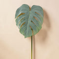 Realistisches grünes monstera deliciosa blatt mit natürlichen venen und perforationen am schlanken stiel 81 cm
