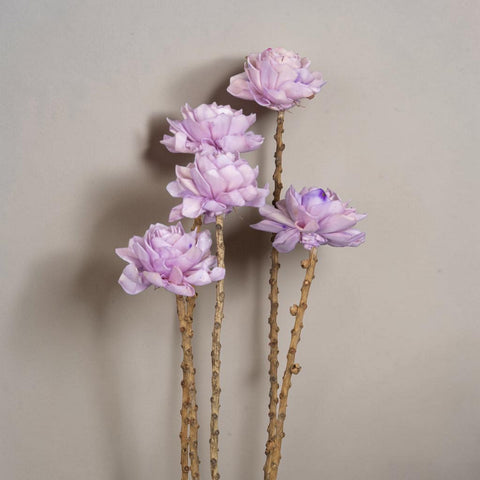 Ein set aus fünf zarten lavendelfarbenen seidenblumen mit strukturierten goldbraunen stielen dahlienbund lila 66cm