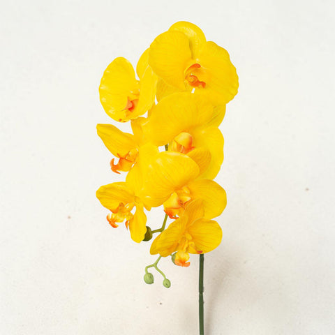 Vibrante gelbe künstliche orchidee phalaenopsis real touch 76 cm mit zarten blättern und synthetischem material