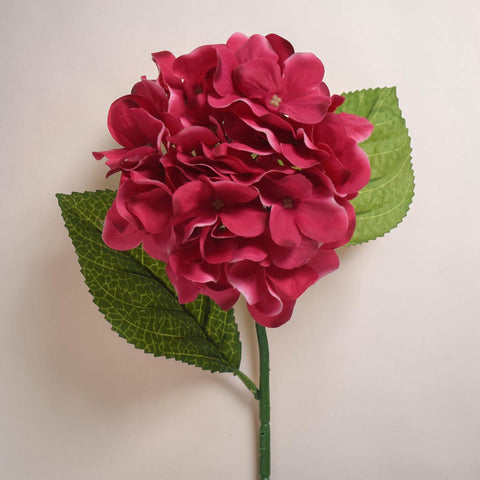 Eine leuchtend fuchsiafarbene hortensie dunkelrosa mit glänzenden blütenblättern und detaillierten grünen blättern