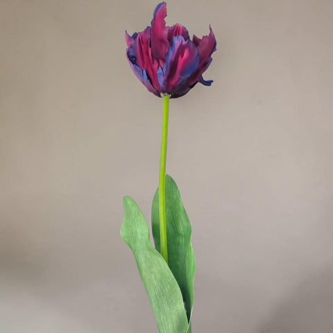 Ein handbemalter papageintulpe violett mit tief magentafarbenen und königsblauen blütenblättern auf grünem stiel