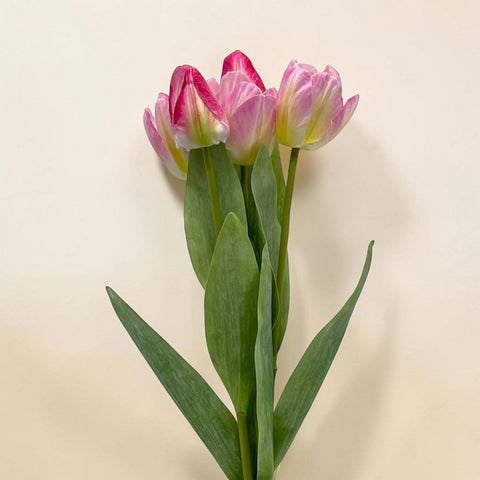 Ein bund von fünf künstlichen tulpen mit pink-weißen blüten und grünen stielen 49 cm lang