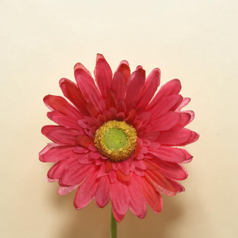 Eine lebendige pinke künstliche gerbera aus polyester mit strukturiertem gelb-grünem stoffzentrum